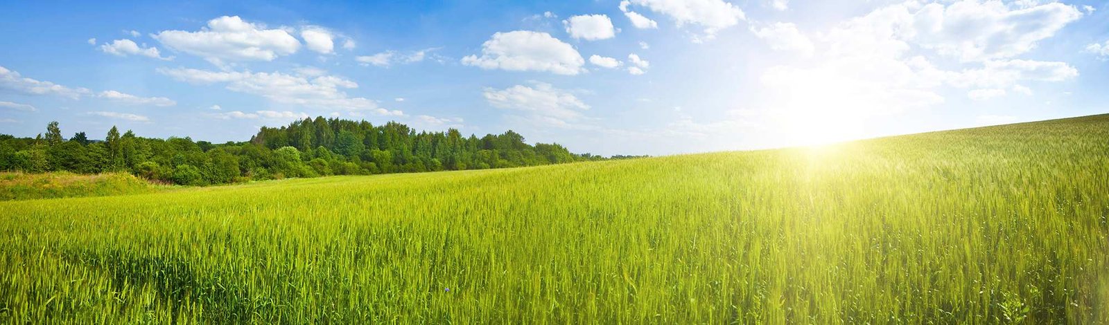 Selvitämme sisäilmaongelmia