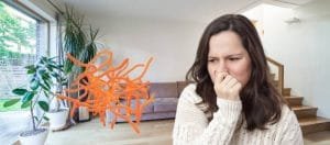 Aktinobakteerit eli sädesienibakteerit