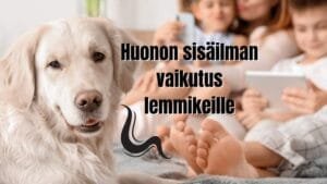 Huonon sisäilman vaikutus lemmikeille – Tunnista ja suojele