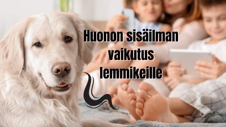 Huonon sisäilman vaikutus lemmikeille – Tunnista ja suojele